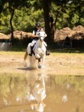 DSC01551 DSC01551