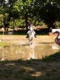 DSC01553 DSC01553