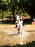 DSC01554 DSC01554