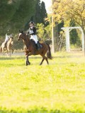 DSC00709 DSC00709