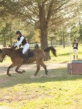 DSC00724 DSC00724