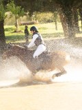 DSC00728 DSC00728