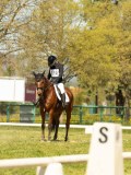 DSC09339 DSC09339