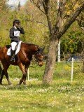 DSC09343 DSC09343