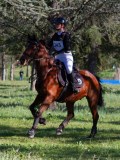IMG_0181 IMG_0181