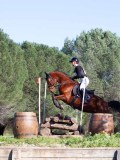 IMG_0185 IMG_0185