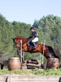 IMG_0186 IMG_0186