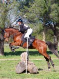 IMG_0190 IMG_0190