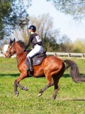 IMG_0192 IMG_0192
