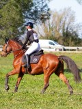 IMG_0193 IMG_0193
