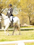 DSC09349 DSC09349
