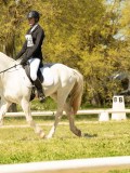 DSC09350 DSC09350
