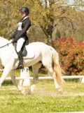 DSC09358 DSC09358