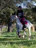 IMG_0356 IMG_0356