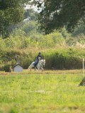 SGE04704