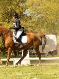 DSC09450 DSC09450
