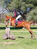 IMG_0097 IMG_0097