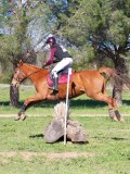 IMG_0098 IMG_0098