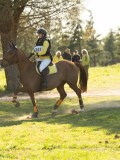 DSC00784 DSC00784