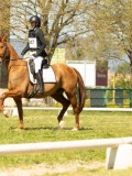 DSC09465 DSC09465
