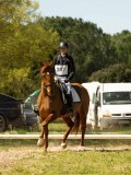 DSC09474 DSC09474