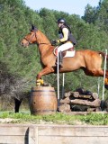 IMG_0281 IMG_0281