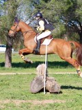 IMG_0282 IMG_0282