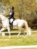DSC09504 DSC09504