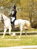 DSC09505 DSC09505