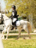 DSC09518 DSC09518