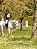 DSC09524 DSC09524