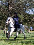 IMG_0294 IMG_0294