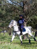 IMG_0295 IMG_0295