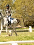DSC09530 DSC09530