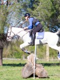 IMG_0336 IMG_0336