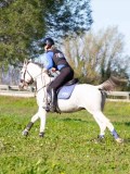 IMG_0340 IMG_0340