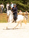 DSC04518 DSC04518