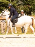 DSC04519 DSC04519