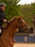 DSC01743 DSC01743