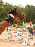 DSC01753 DSC01753