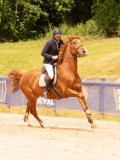 DSC00564 DSC00564