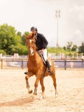 DSC00568 DSC00568