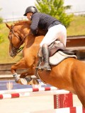 DSC00569 DSC00569