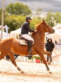 DSC00576 DSC00576