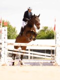 DSC02445 DSC02445