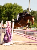 DSC05150 DSC05150