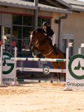 DSC05159 DSC05159