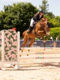 DSC08444 DSC08444
