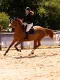 DSC08453 DSC08453