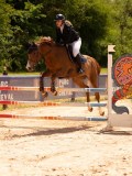 DSC08454 DSC08454
